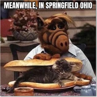 Illegal Immigrants Eating the Pets of the People that Live There Posters and Art